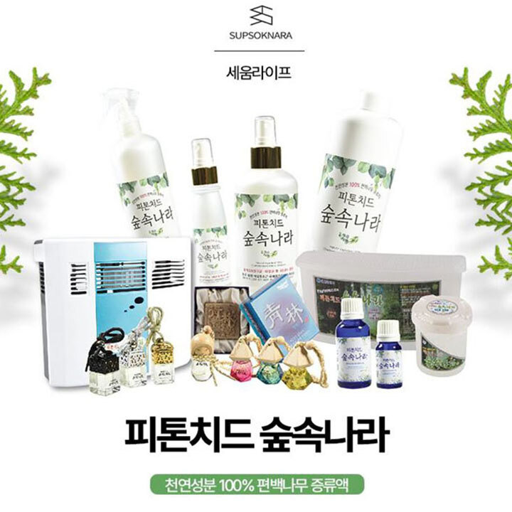 [세움라이프] 피톤치드 숲속의나라 기획