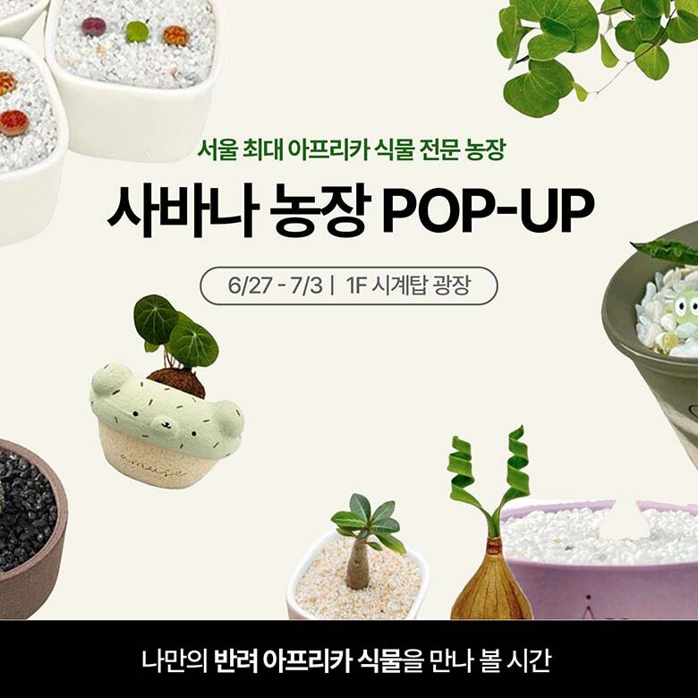 [사바나농장] AK PLAZA 분당점 행사