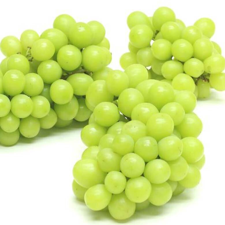 상품 11