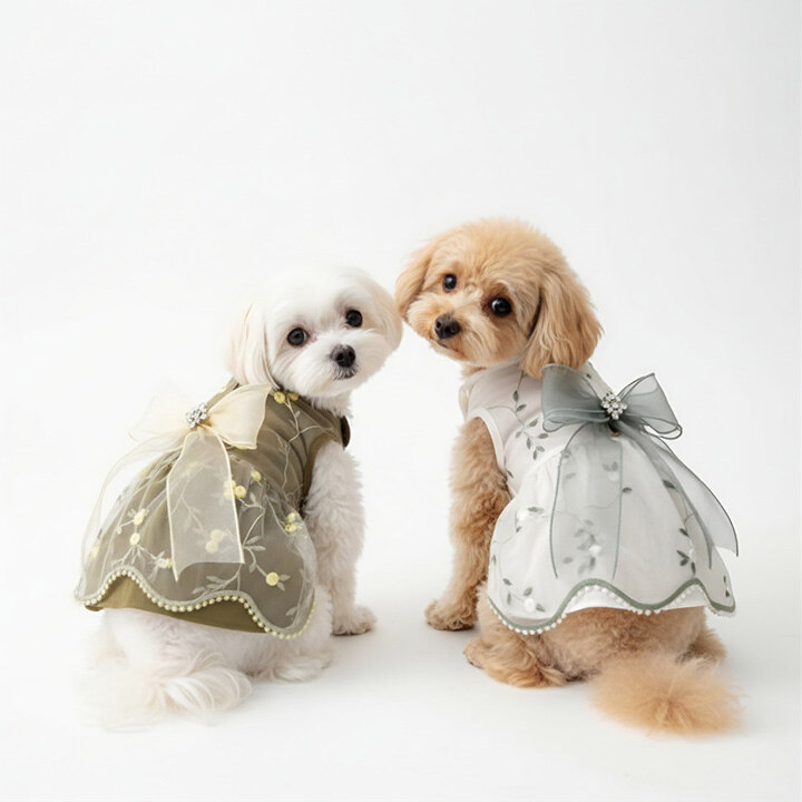 [개순이상점] POP-UP