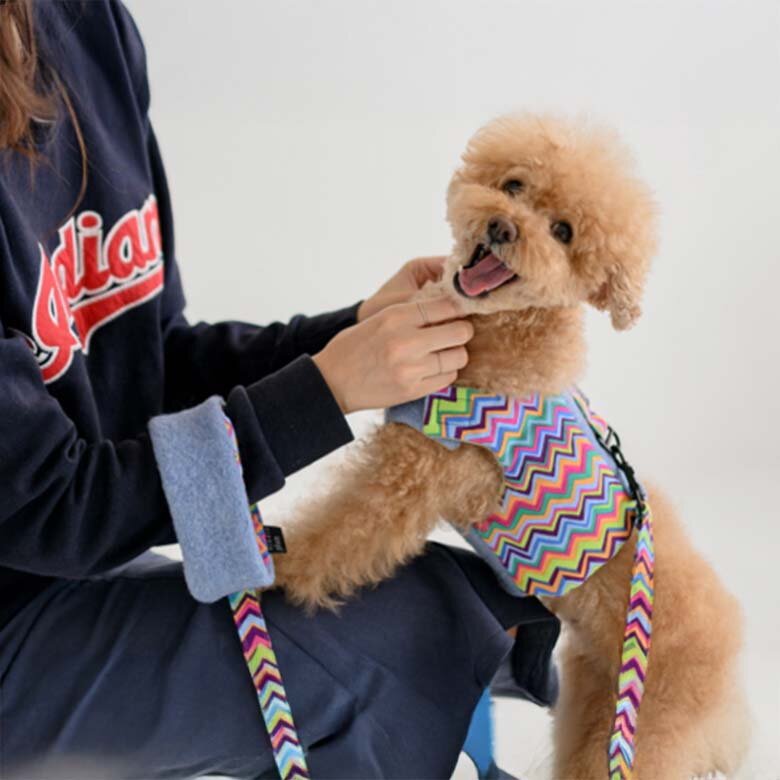 [플럼스튜디오] 팝업스토어