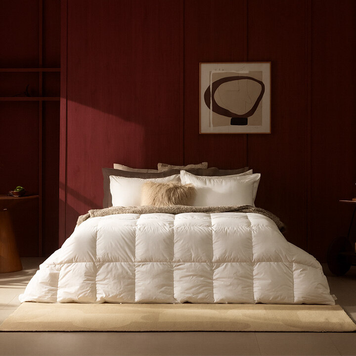 [제로어클락] POP-UP