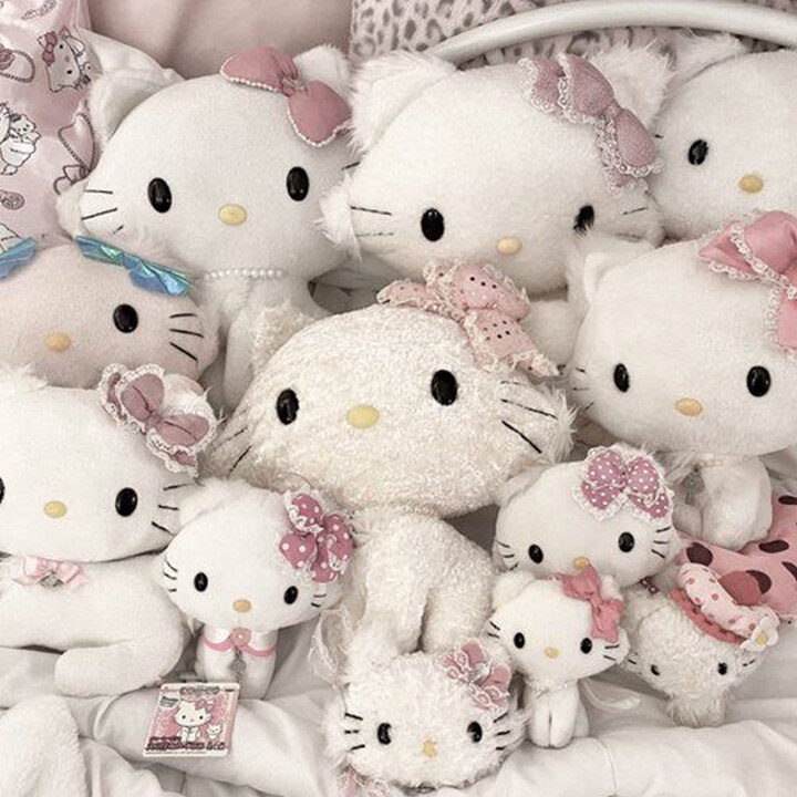 [타이파] 인기 캐릭터 POP-UP