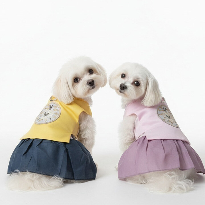 [개순이상점] 1월 특별 프로모션