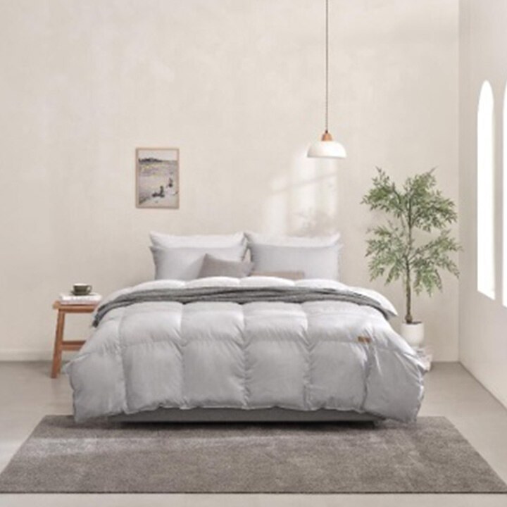 [알레르망] 침구 행사