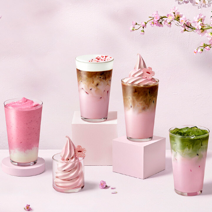 [폴바셋] 체리블라썸 신메뉴 출시