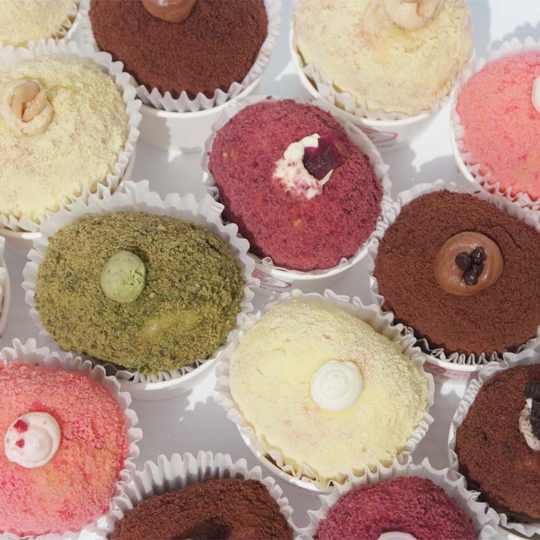 [555] 신규 오픈 안내