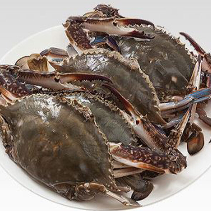 [푸드홀] 수산물 할인