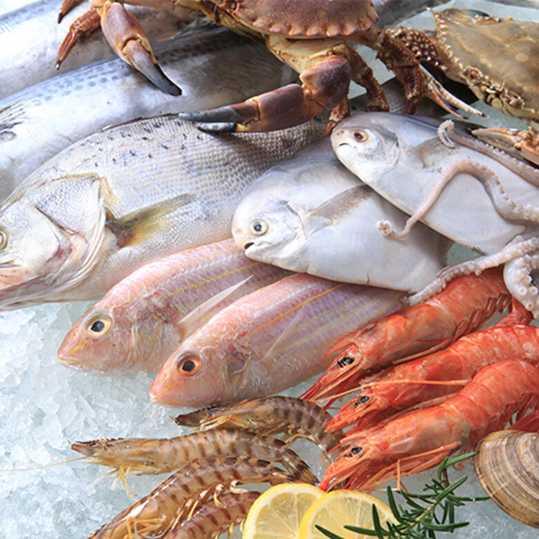 [푸드홀] 수산 특가 모아보기