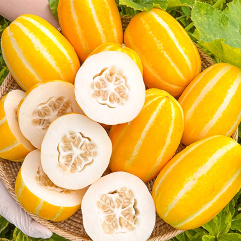 [푸드홀] 달콤 아삭 봄철 참외 먹거리 마켓