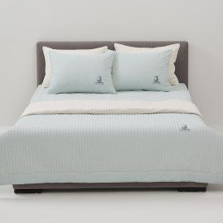 [코지네스트]  4월 창립 행사